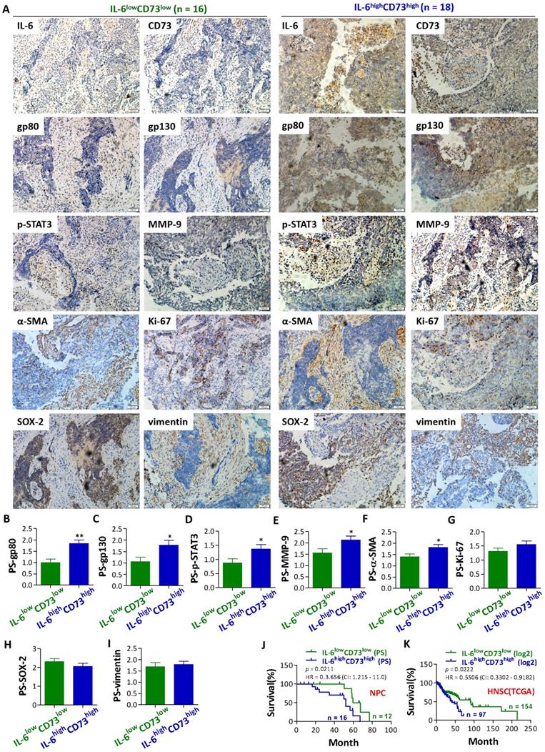 J Cancer Image