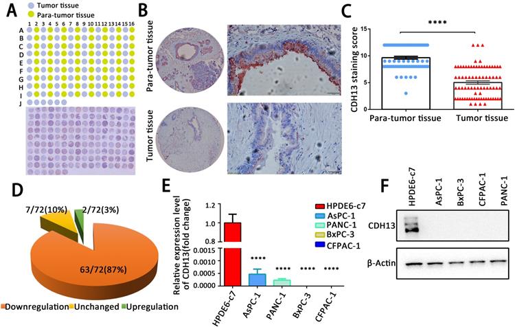 J Cancer Image