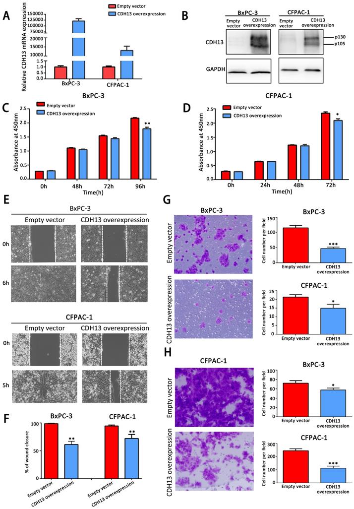 J Cancer Image