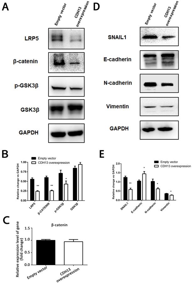 J Cancer Image