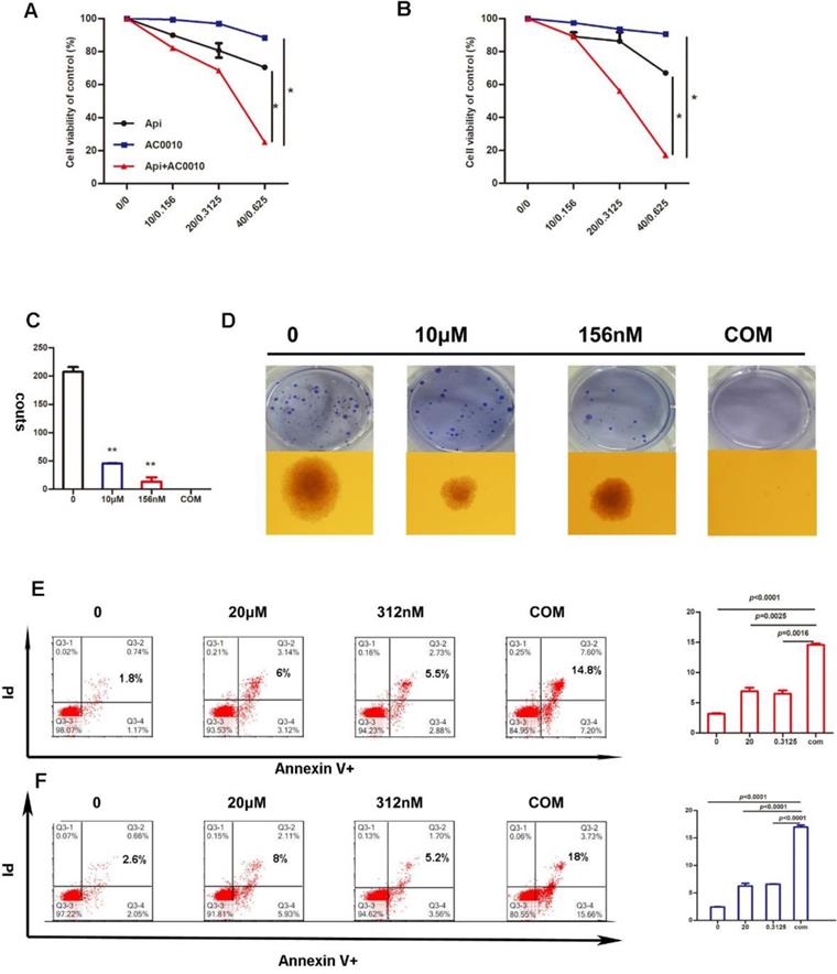 J Cancer Image