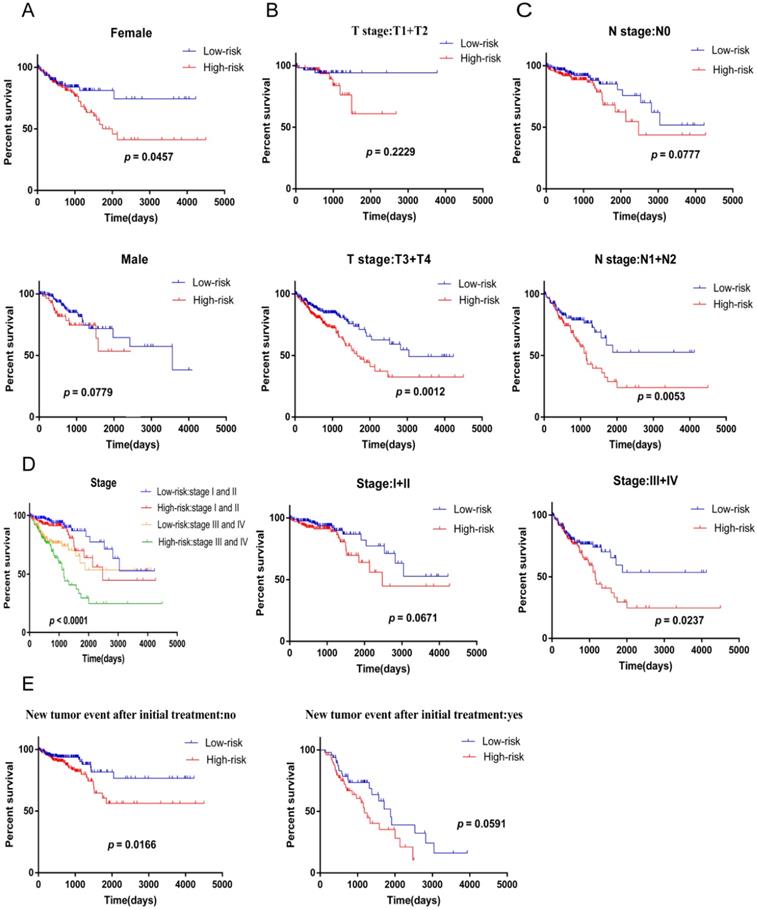 J Cancer Image