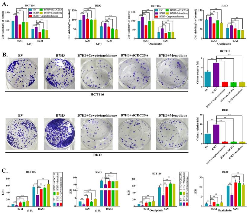 J Cancer Image