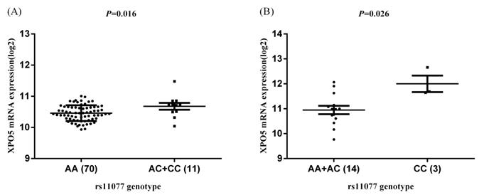 J Cancer Image