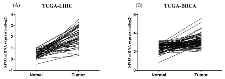 J Cancer Image