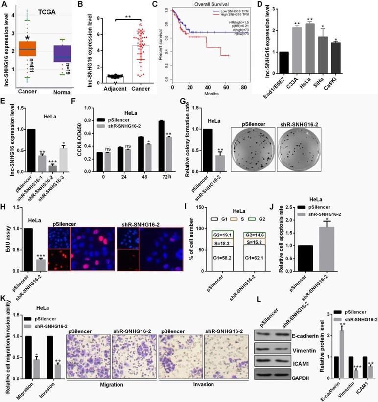 J Cancer Image