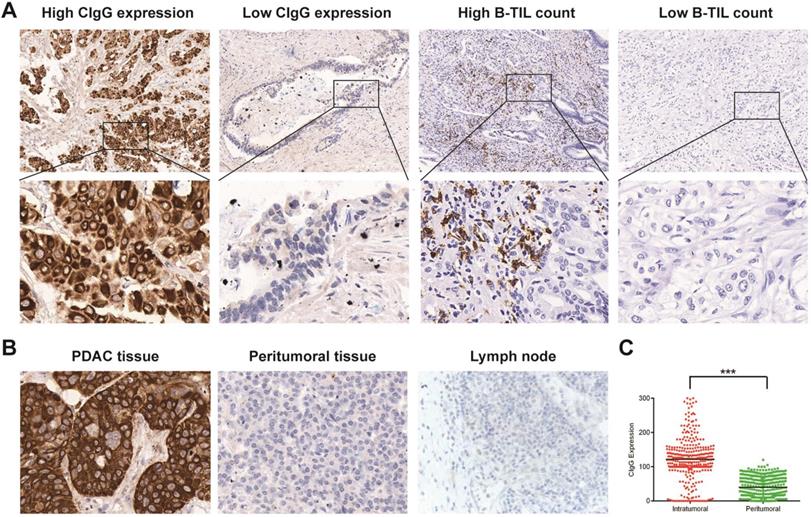 J Cancer Image