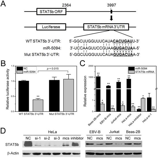 J Cancer Image