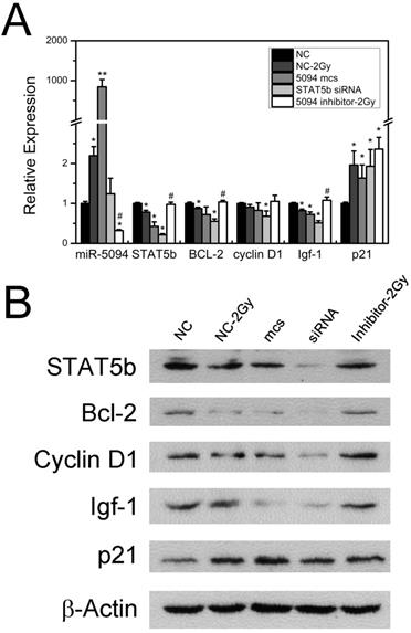 J Cancer Image