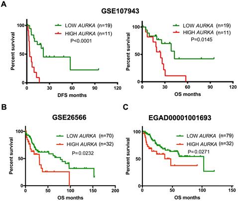 J Cancer Image