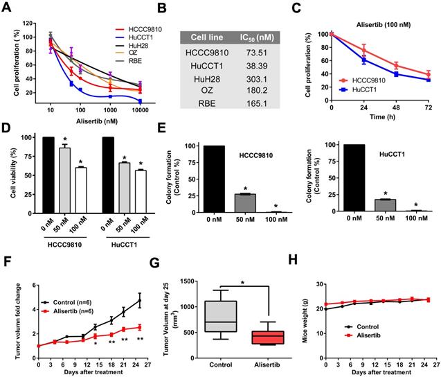 J Cancer Image