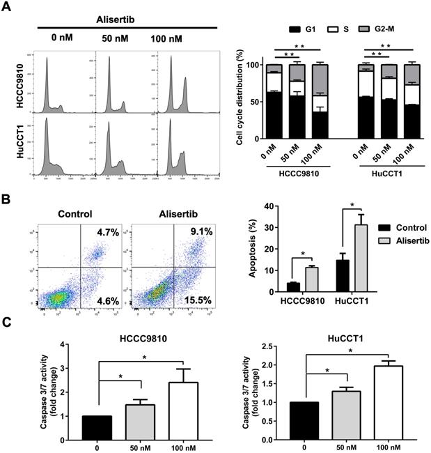 J Cancer Image