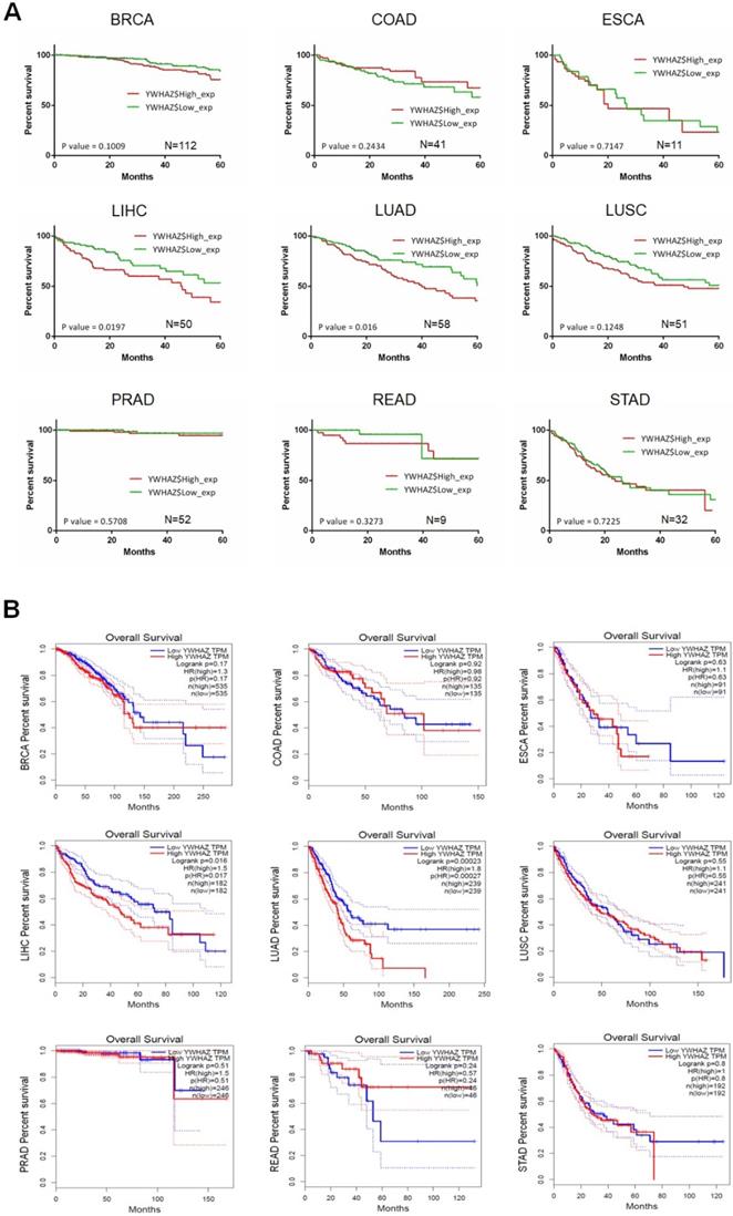 J Cancer Image