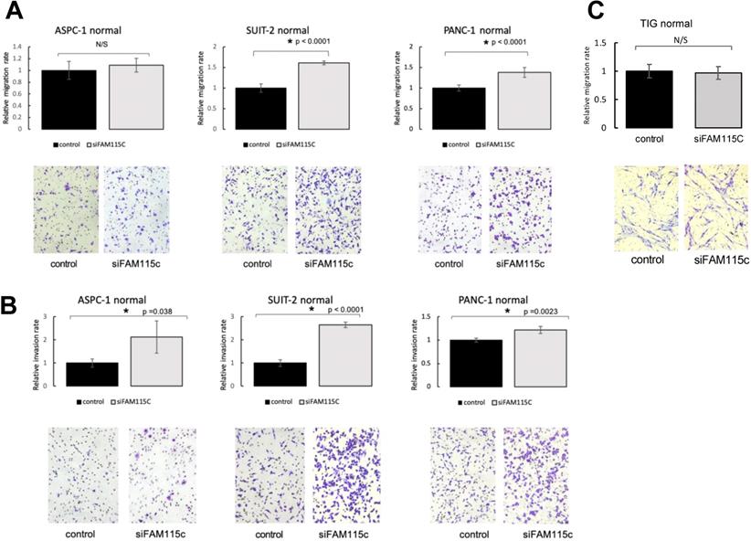 J Cancer Image