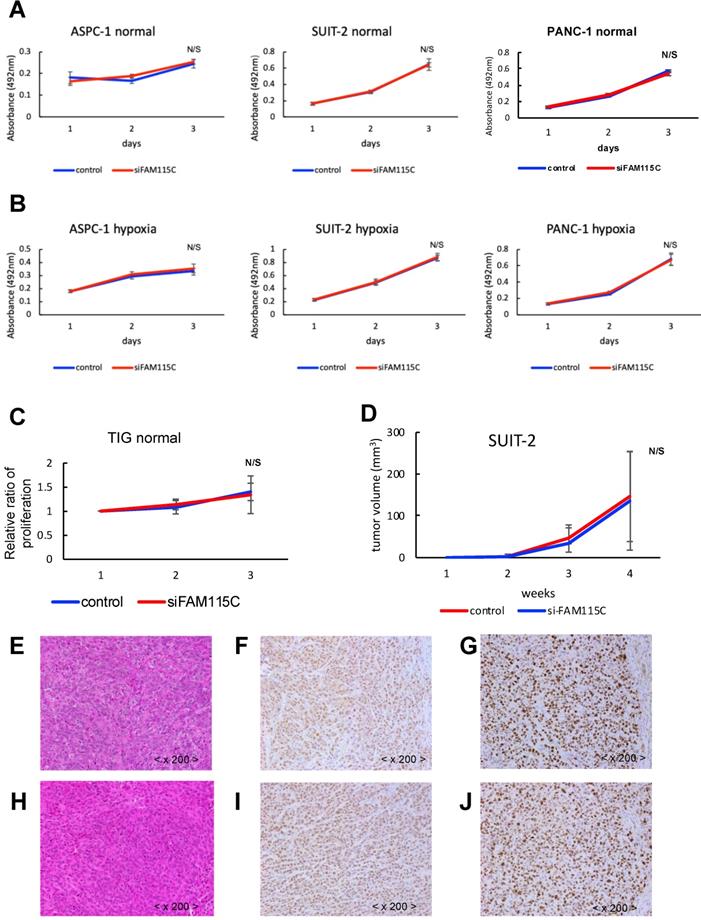 J Cancer Image