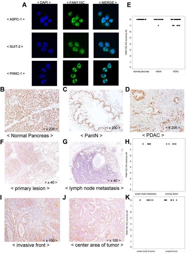 J Cancer Image