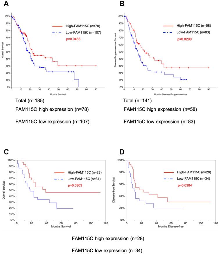 J Cancer Image