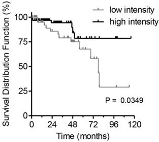 J Cancer Image