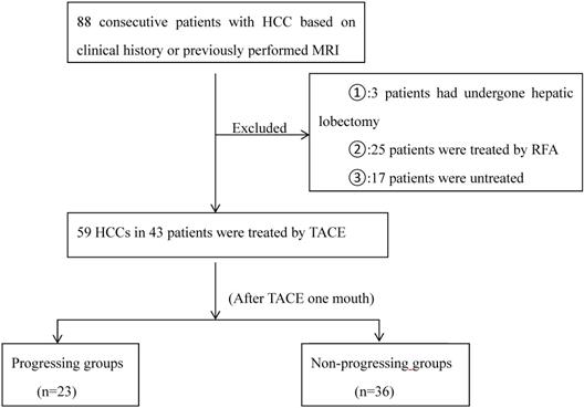 J Cancer Image