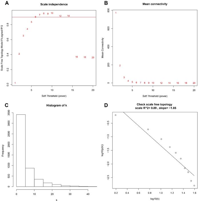 J Cancer Image