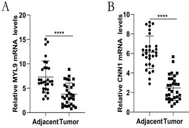 J Cancer Image