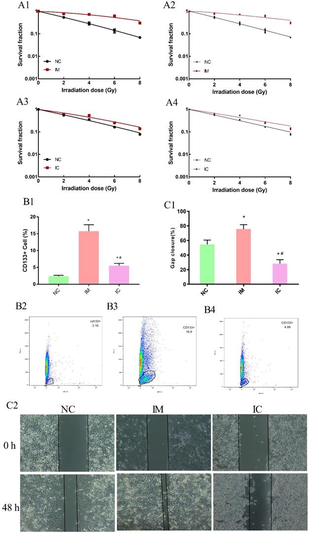 J Cancer Image