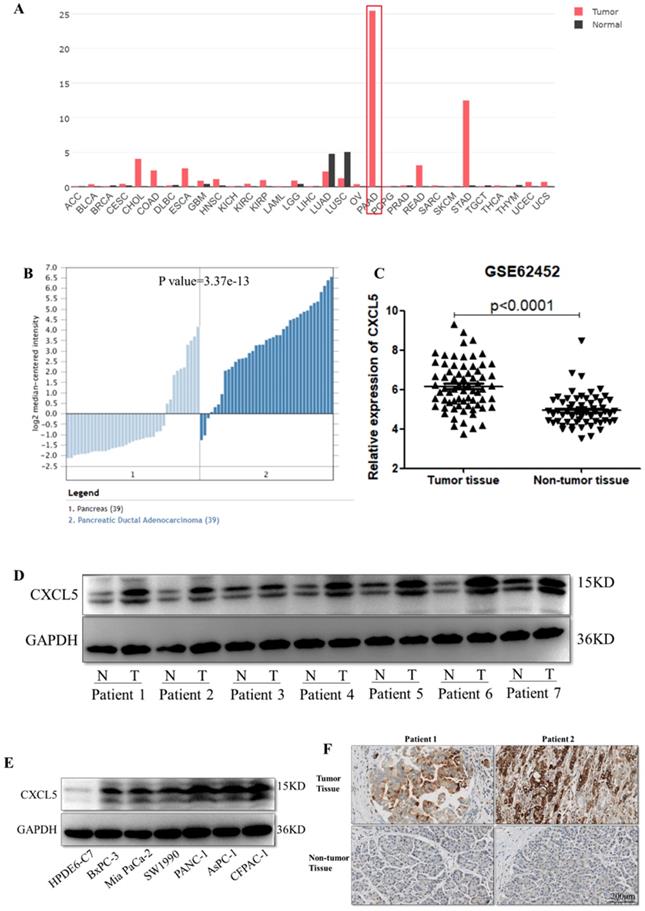 J Cancer Image