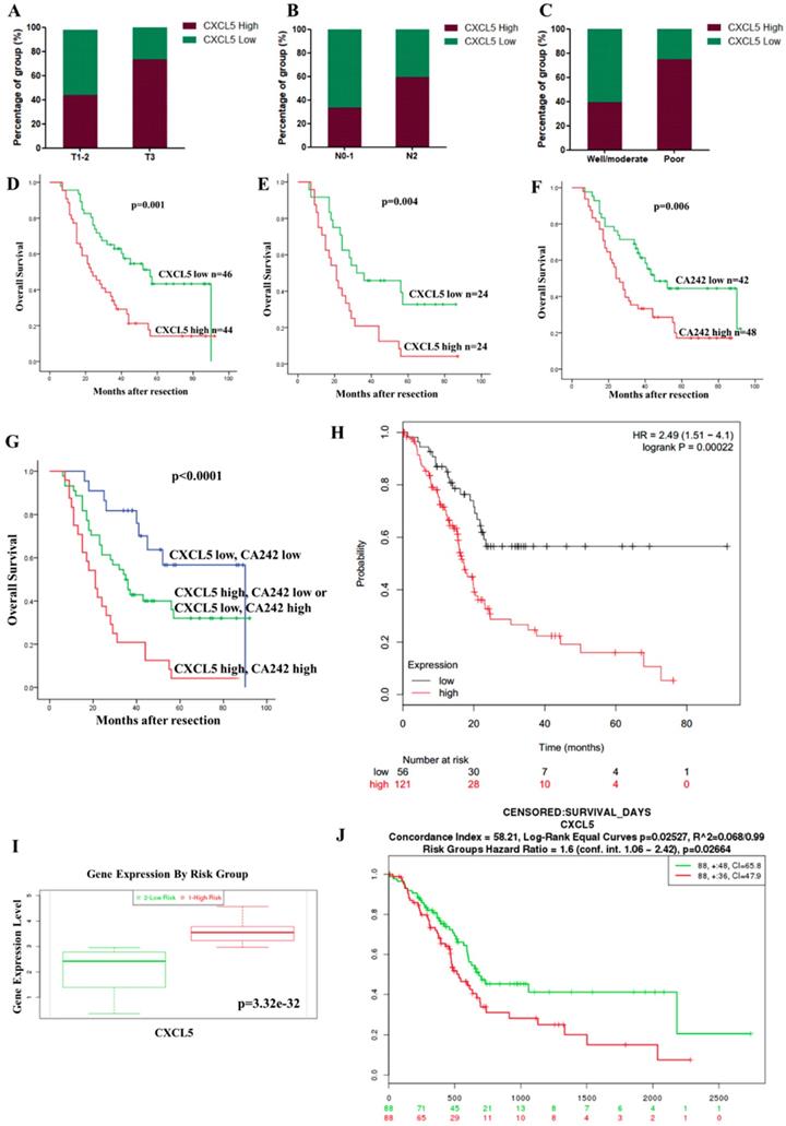 J Cancer Image