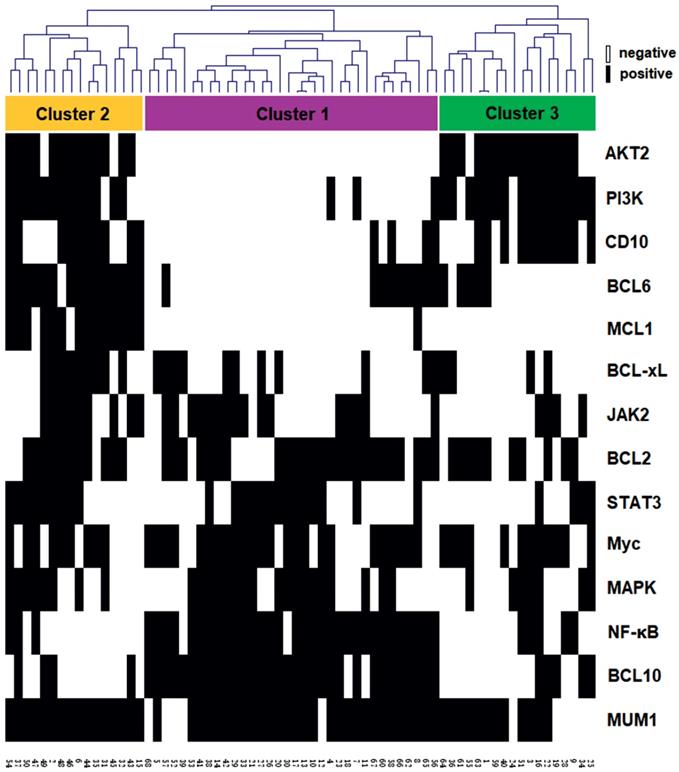 J Cancer Image