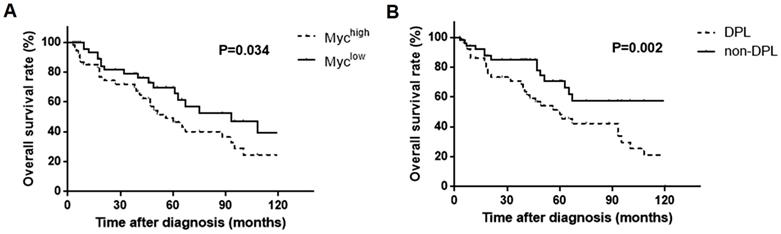 J Cancer Image