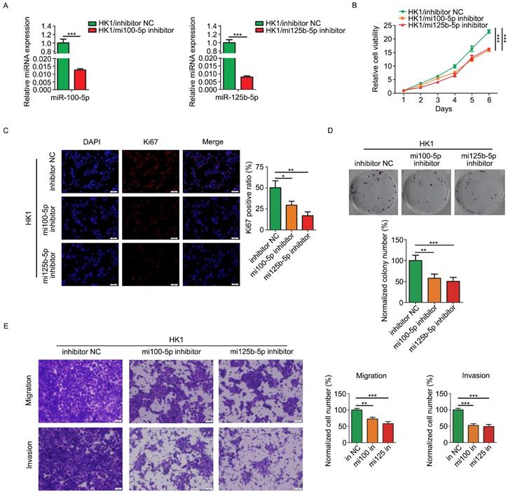 J Cancer Image