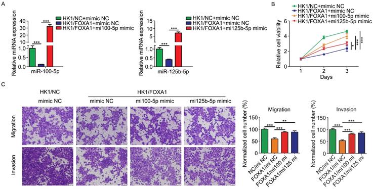 J Cancer Image