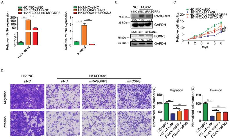 J Cancer Image