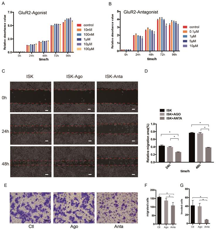 J Cancer Image