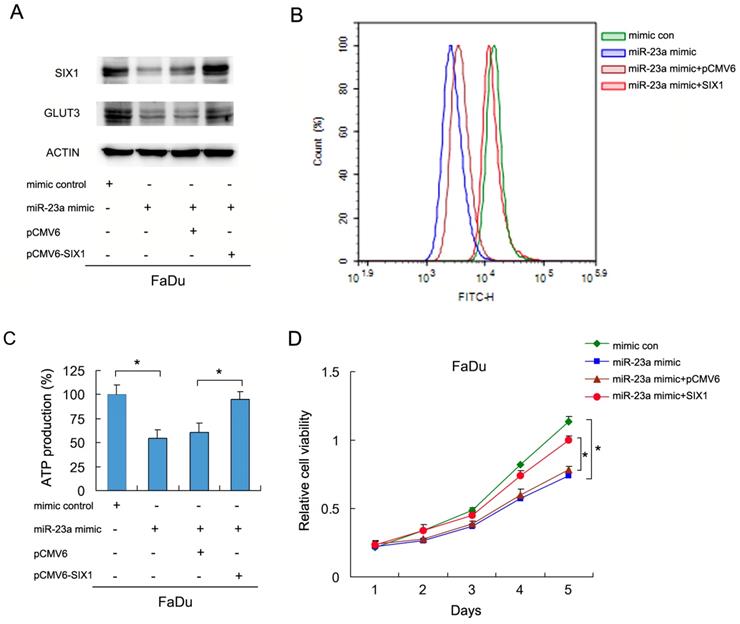 J Cancer Image