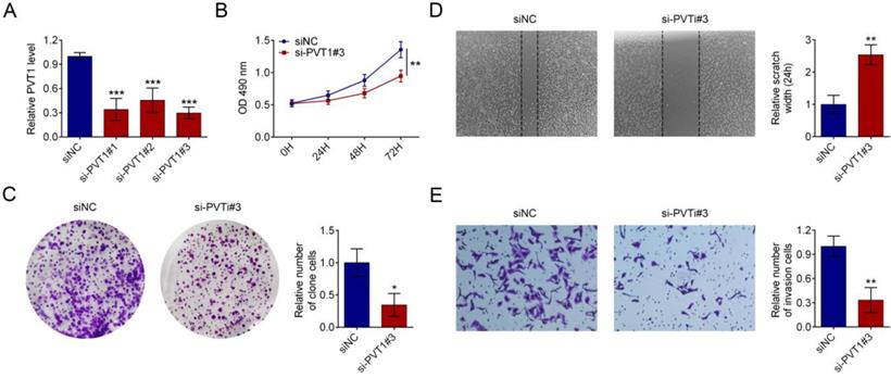 J Cancer Image