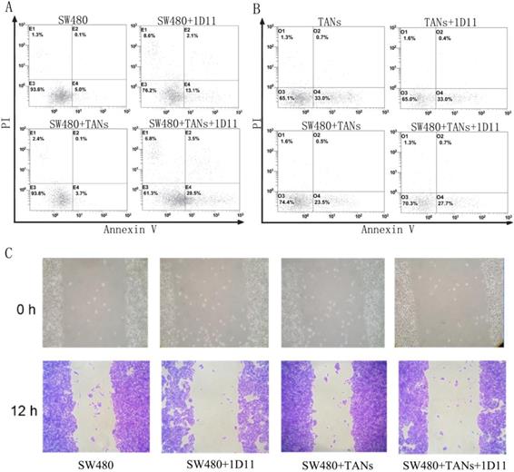 J Cancer Image