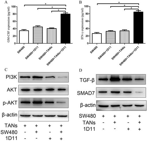 J Cancer Image