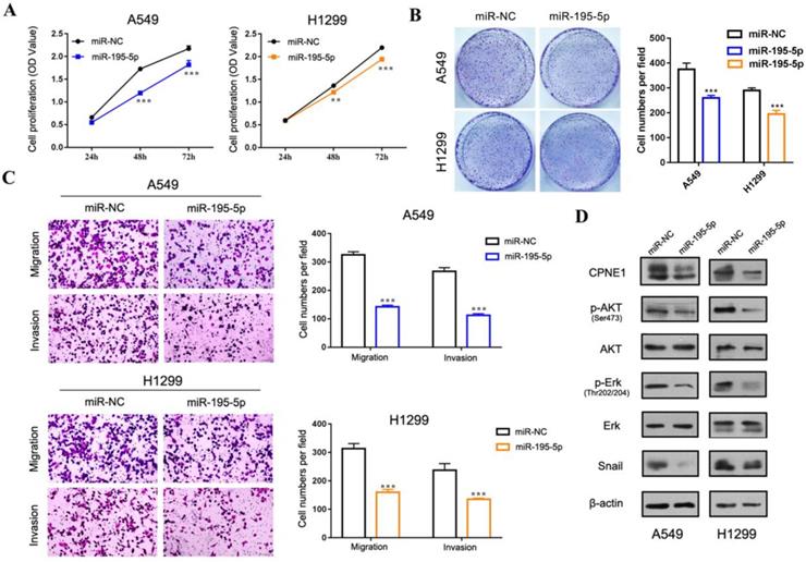 J Cancer Image