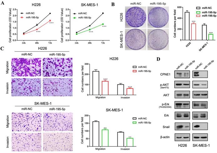 J Cancer Image