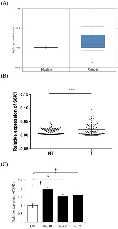 J Cancer Image