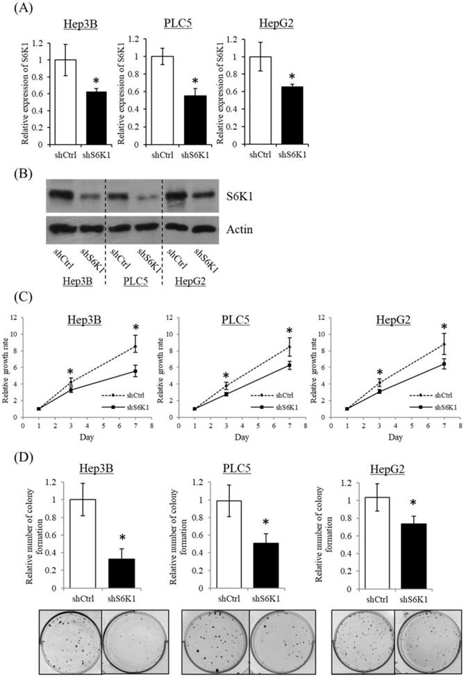 J Cancer Image