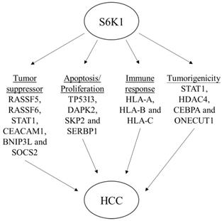 J Cancer Image