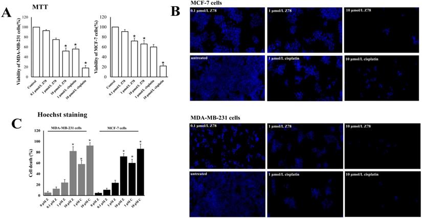 J Cancer Image