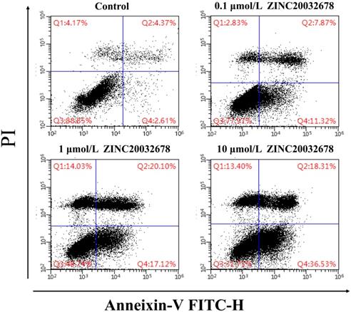 J Cancer Image