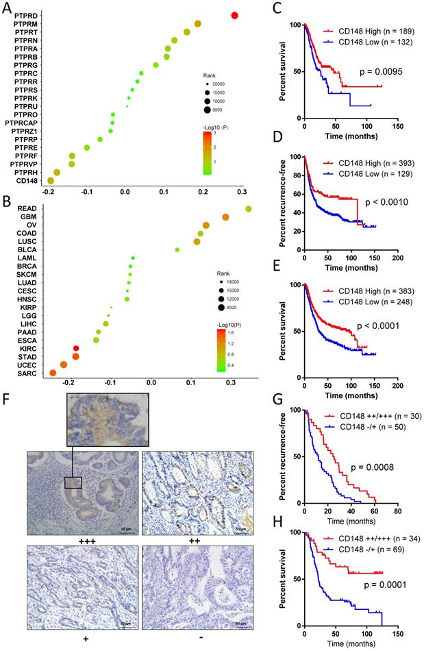 J Cancer Image