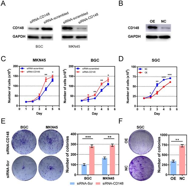 J Cancer Image