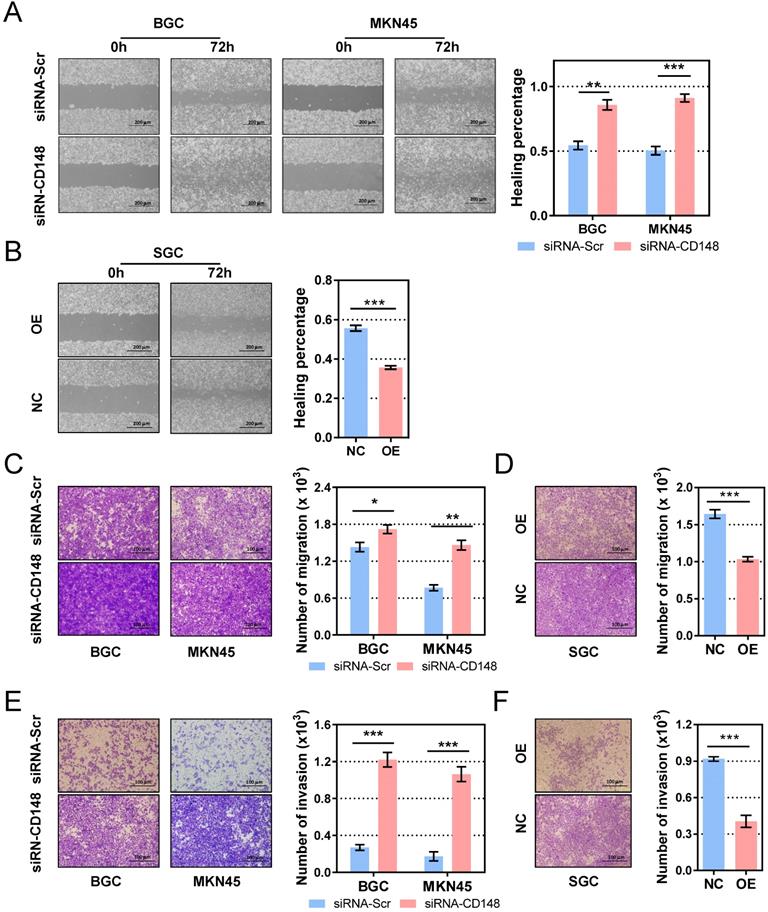 J Cancer Image