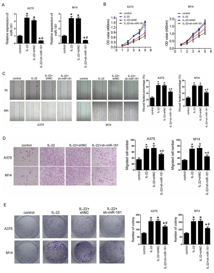 J Cancer Image