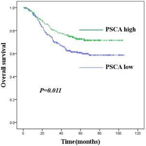 J Cancer Image